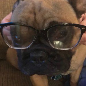 Meet your Posher, Denise